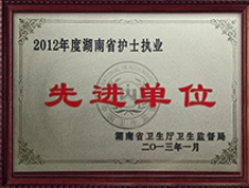 2012年湖南省护士执业先进单位